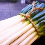 葱萬|千住葱の専門商社|創業140年【公式】